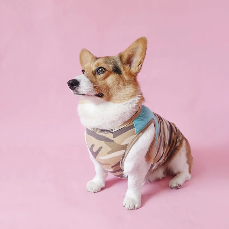 Одежда для средних и больших собак костюм крупных одежда взрослых французский