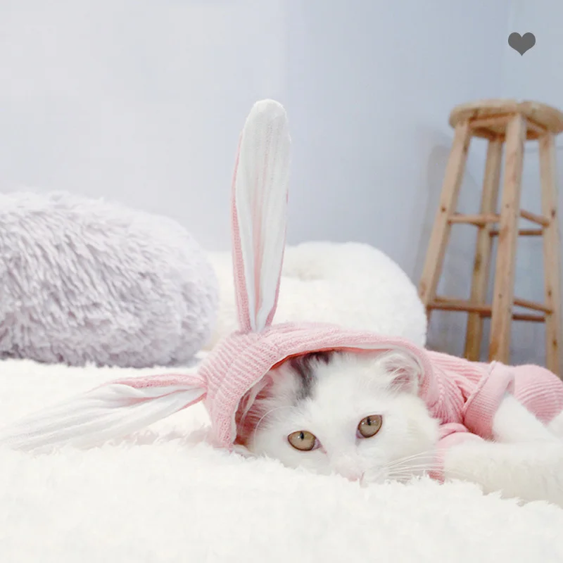 Теплая одежда для кошек зимняя куртка щенка и котенка маленьких средних собак