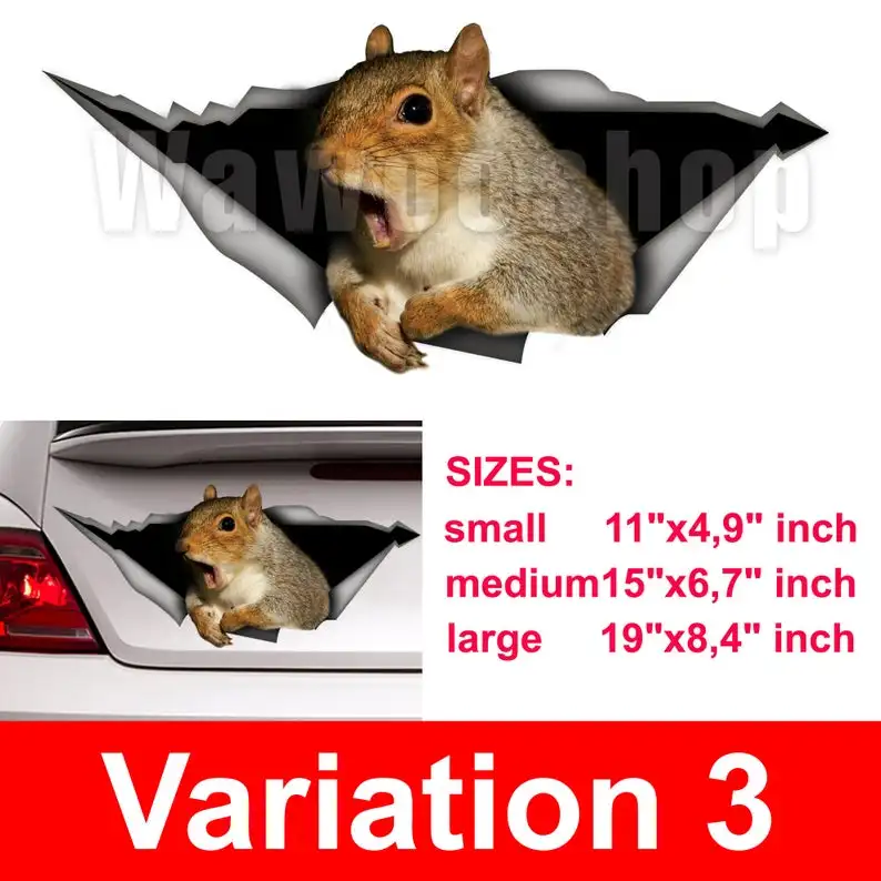 

2021 Squirrel car decal, funny car decal, Vinyl decal, car decoration, squirrel sticker, animal decal