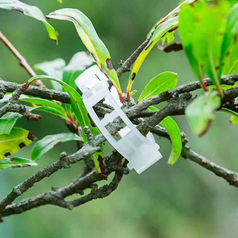 

10/50/100Pcs Plant Support Clips Durable Vine Garden Vegetables Types Plants Hanging Plastic Clips Plant Support Garden Supplies