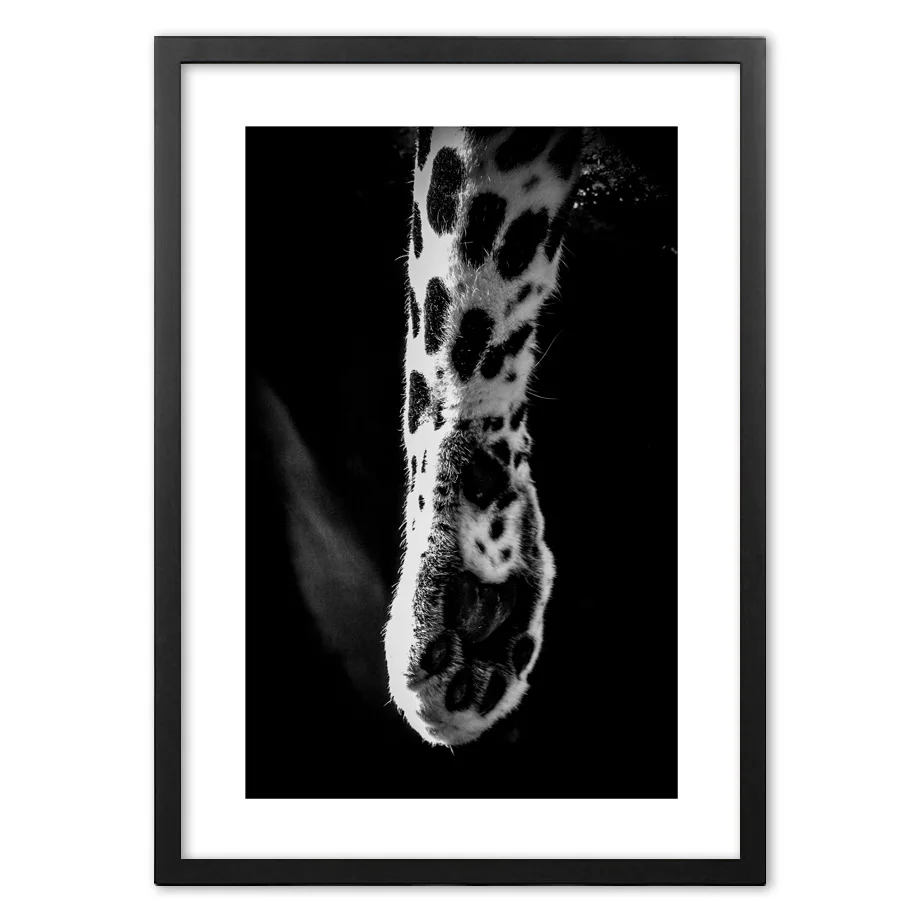 Черно-белый леопардовый коготь фотография искусство печать на стене бумажная