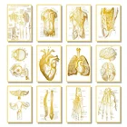Картина с изображением золотых человеческих органов и костей, Картина на холсте, картины и принты, картина куадроса для семейной комнаты, декоративное искусство
