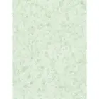 Жидкие обои Paritet Базовое покрытие 4 - мятный 1кг  PDLW-B42 на 4,5 мкв