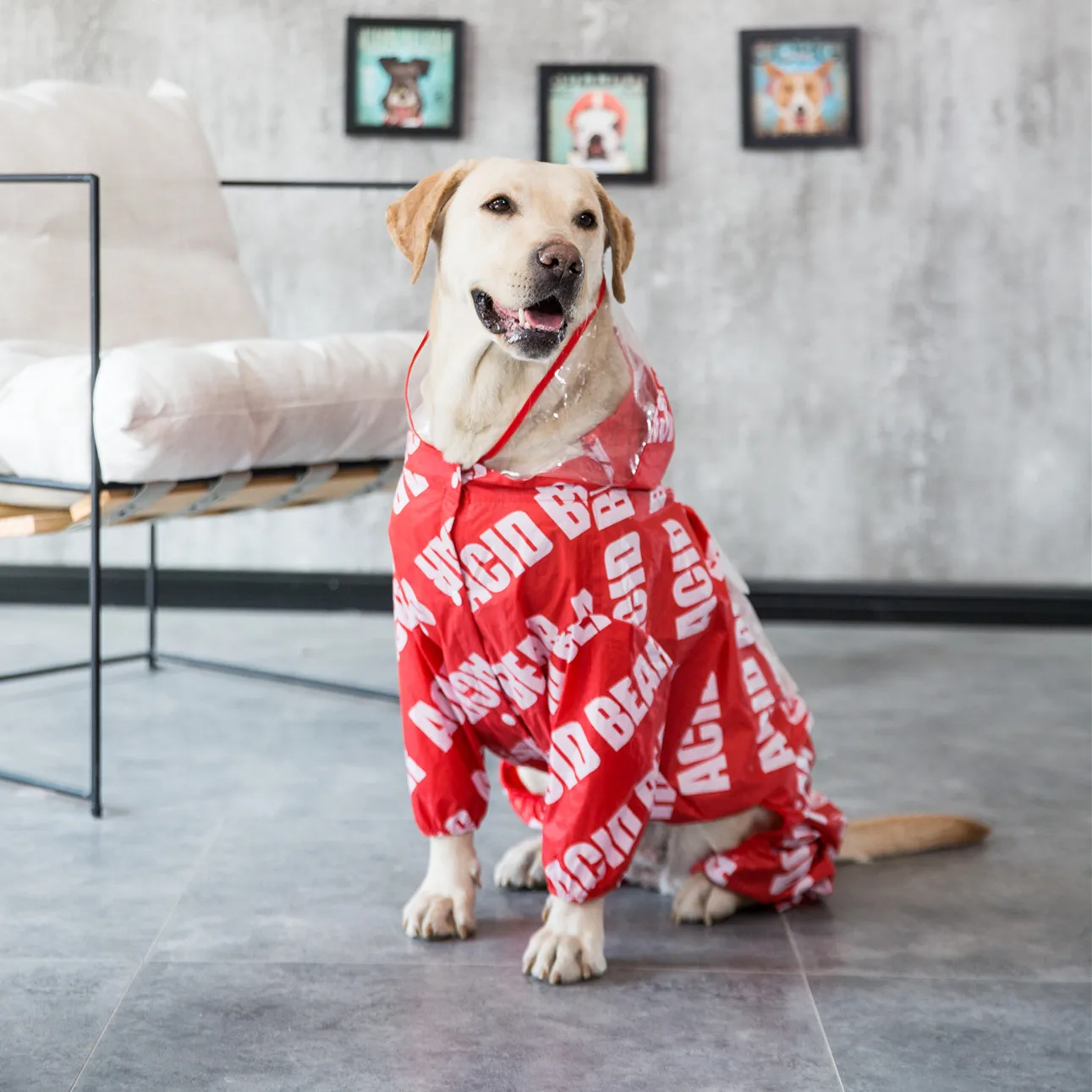 Дождевик для собак водонепроницаемый Модный стильный дождевик из полиэстера