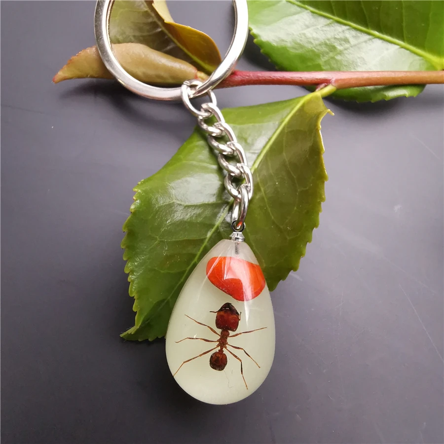

Unique Luminous Insect Resin Crystal Waterdrop Keychain Ant Scorpion Silver Color Key Chain Souvenir Gifts for Man Wallet Chain