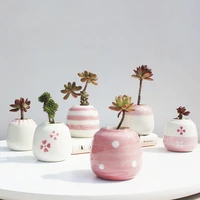 6pcset hand painted pink fleshy flowerpot cute thumb basin glaze inside outside planters for indoor plants home decoration pot