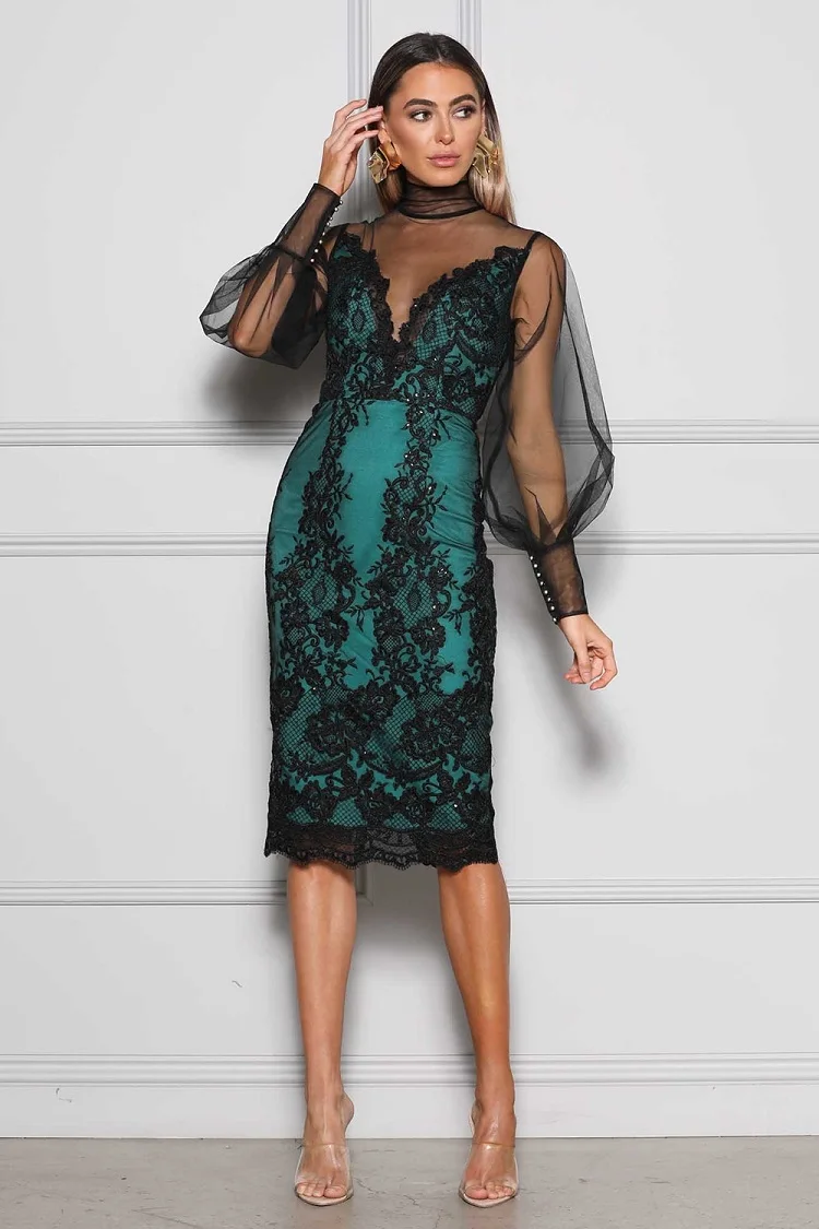 

DEIVE TEGER Woman Summer Dress 2021 Fashion Mesh Long Sleeve Embroidery Celebrity Evening Party Bandage Midi Dresses For Women