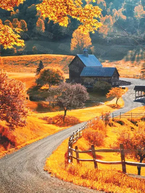 

Diy Diamond Painting Beautiful Violet Golden Autumn Landscape White Leopard Mountain Wolf Personality Poster Painting