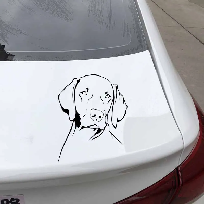 

Car Stickers Funny Dog Pet PVC Stickers Cartoon Accessories 16.2cm*13cm