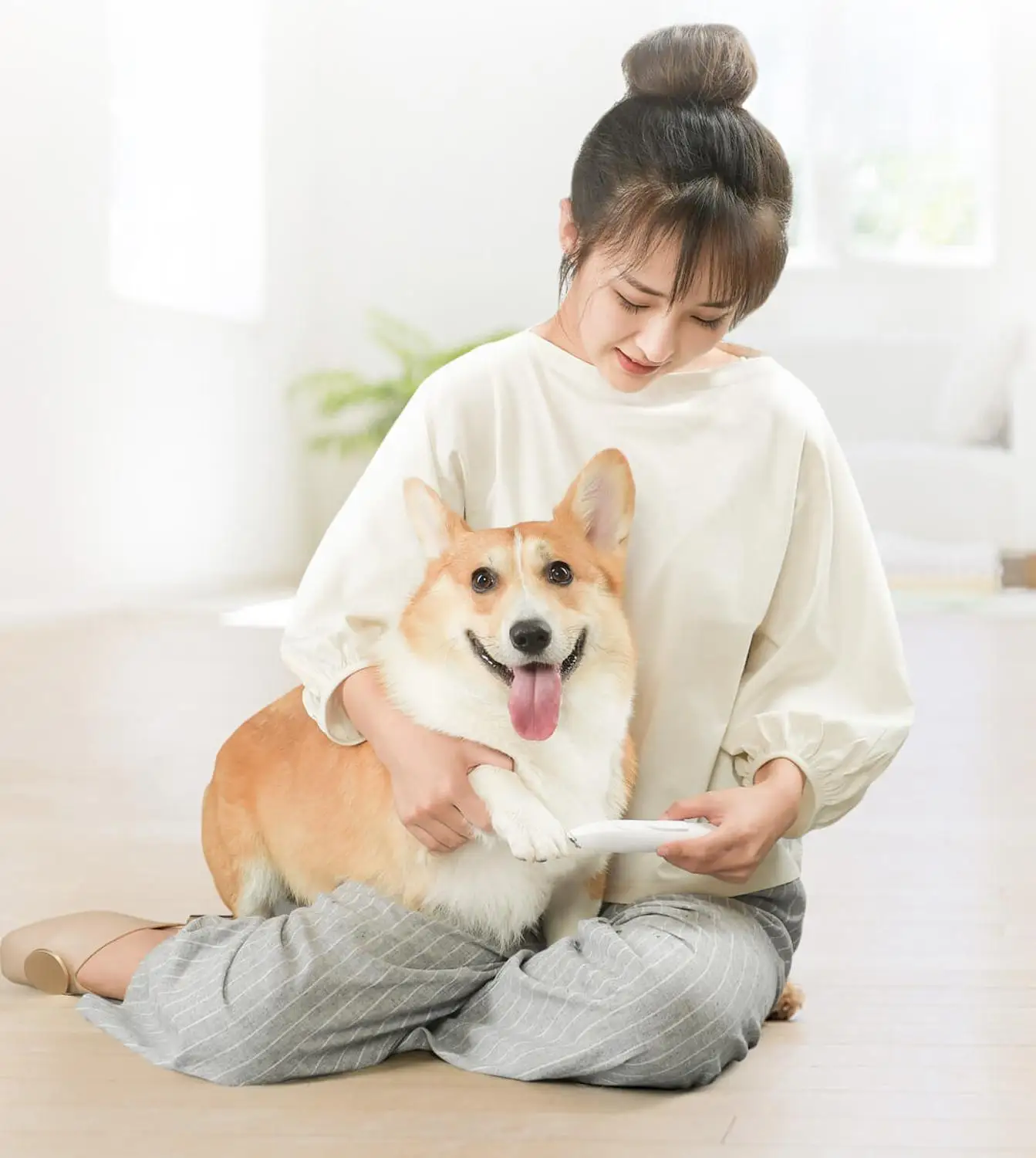 Xiaomi Pet точный триммер кошка Груминг для собачьей шерсти местная бритва уши глаза ноги шов предохранительный резак головы