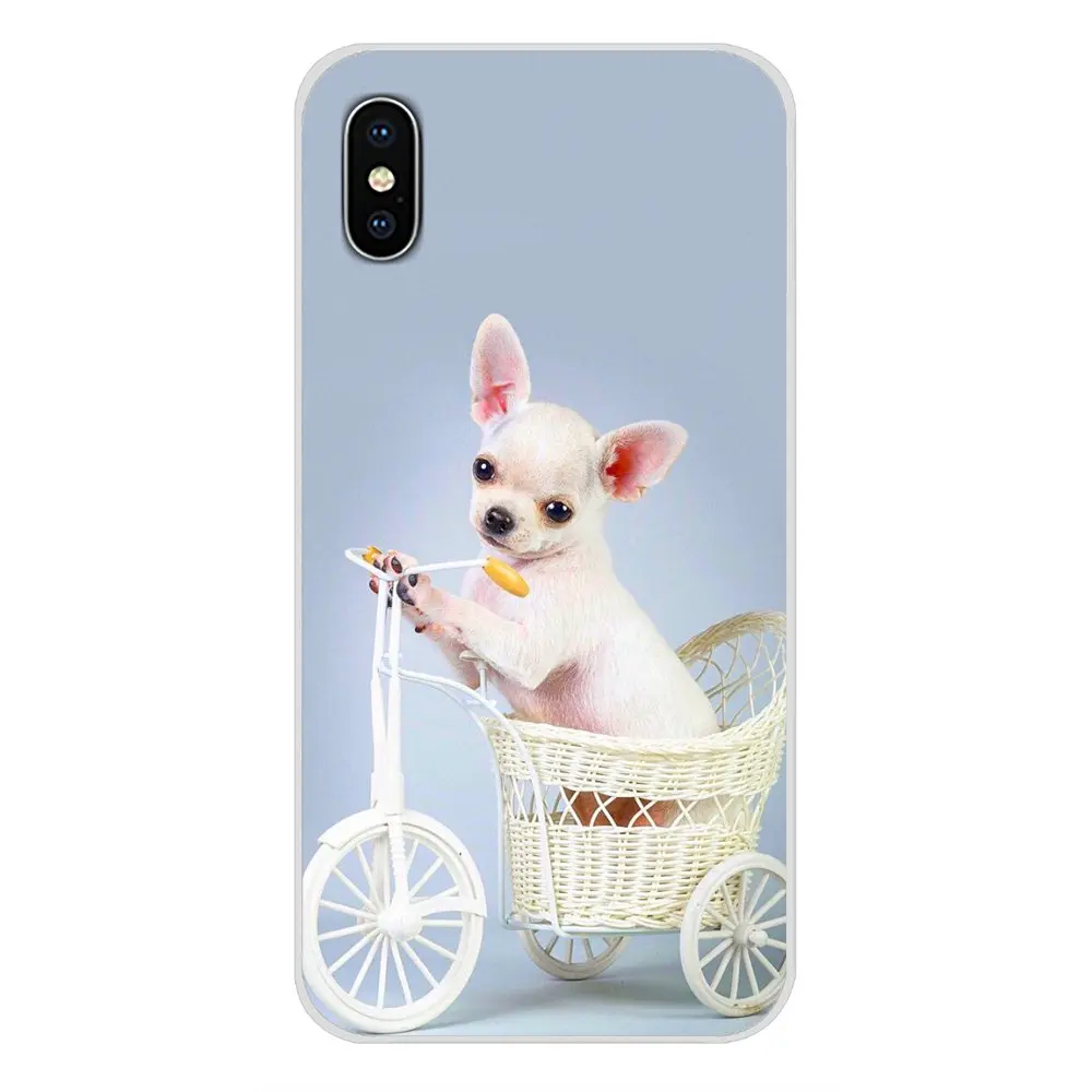 Животные Чихуахуа собака аксессуары чехлы для телефонов Чехлы Apple iPhone X XR XS 11Pro MAX 4S