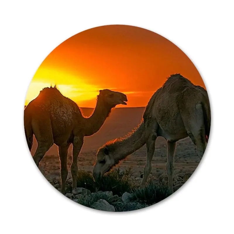 

Animal in the desert Camel Badge Brooch Pin Accessories For Clothes Backpack Decoration gift 58mm