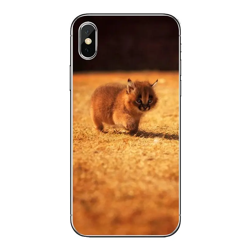 Прозрачный мягкий чехол Чехлы для Xiaomi Redmi 4x S2 3S Note 3 4 5 6 6A Por Pocophone F1 mi Африка Рысь