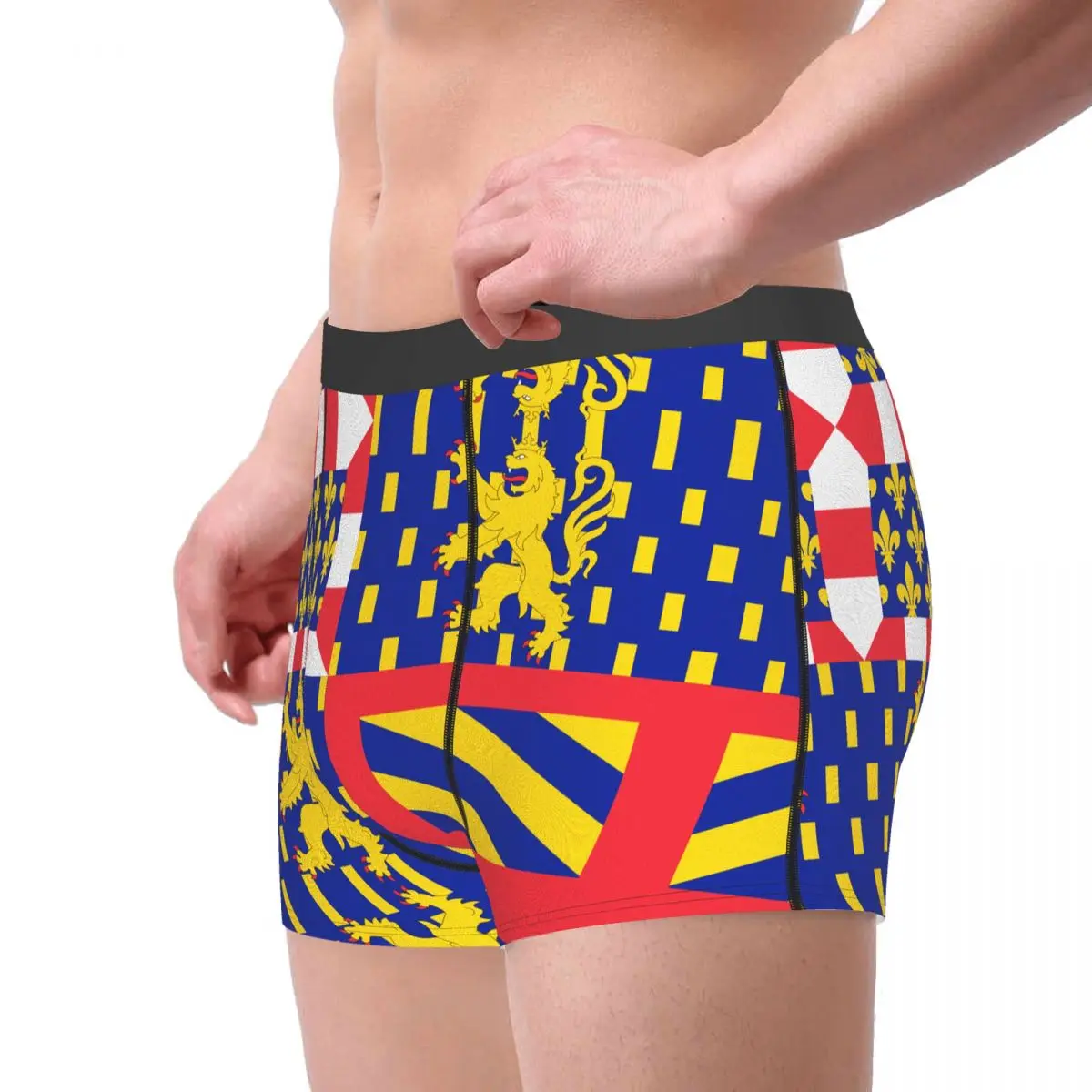 Flag Of Bourgogne-Franche-Comté Men's Boxer Briefs Flags of the regions of France Funny Novelty elastic pants for men