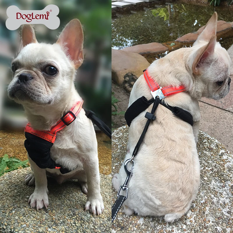 Не вытягивающий поводок для собак не сетчатый домашних животных|Наборы| |