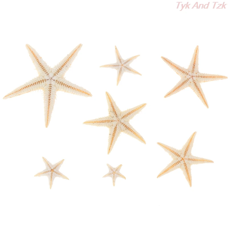 100pcs Sea Shells Size:0.5-3cm Mini Starfish Craft Decoration Natural Stars DIY Beach Cottage Wedding Decor Crafts | Дом и сад
