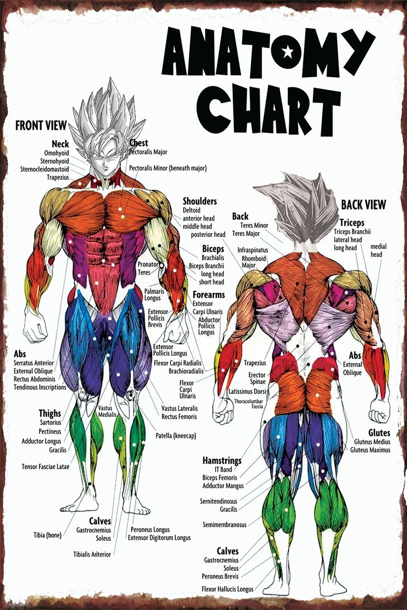 

Goku аниме анатомическая табличка Ретро винтажный металлический знак Оловянная табличка настенный Декор для дома клуба мужская пещера кафе
