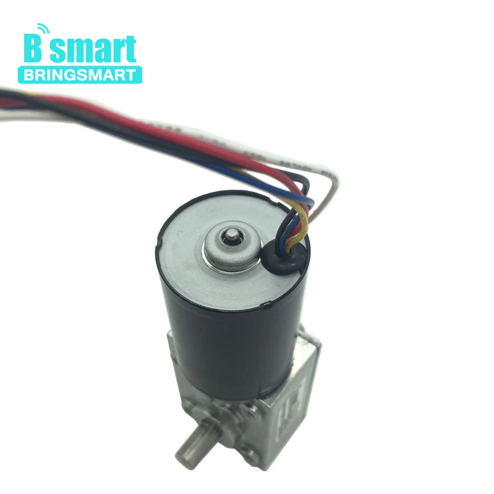 BringSmart BLDC мотор высшего качества 5840 3650 24v бесщеточный Dc червячный редуктор 12 v