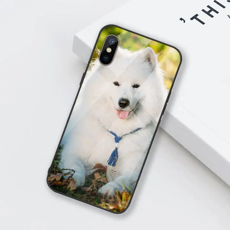 

lovely Samoyed dog Hard Phone Case Tempered glass For iphone 6 6S 7 8 plus X XS XR 11 12 mini PRO MAX