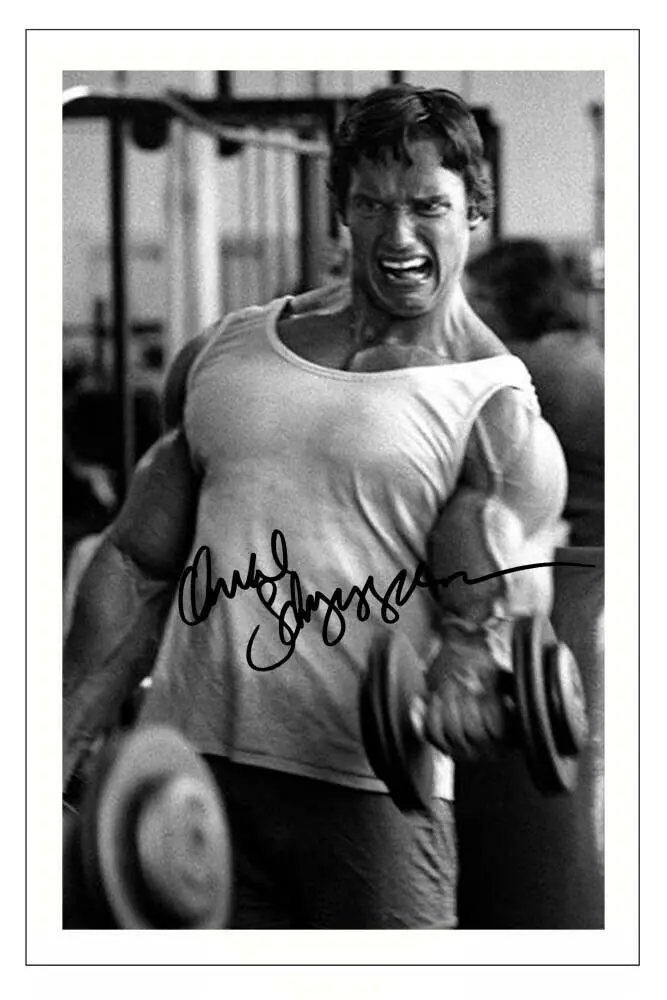 

ARNOLD SCHWARZENEGGER Signed Movie Art Silk Poster Print 24x36inch