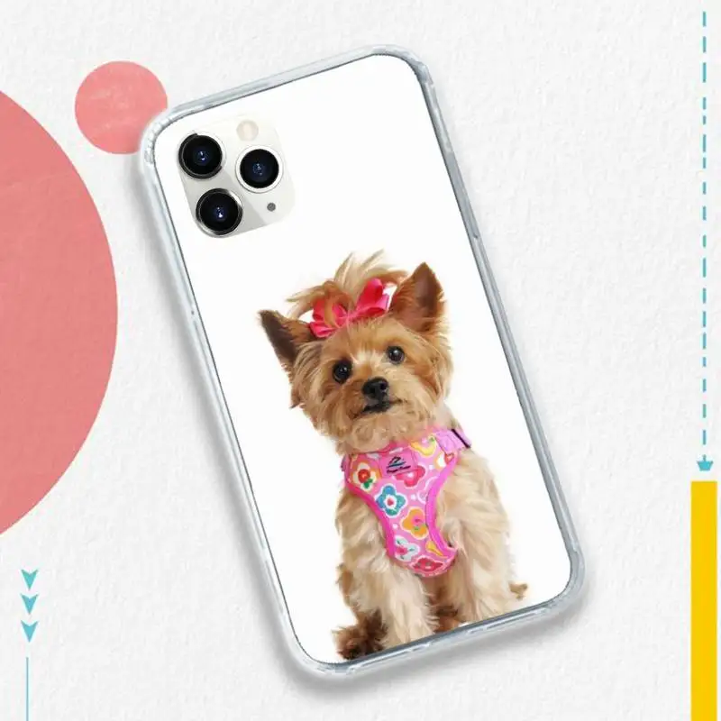 

yorkshire terrier dog puppy Phone Case for iPhone 11 12 pro XS MAX 8 7 6 6S Plus X 5S SE 2020 XR