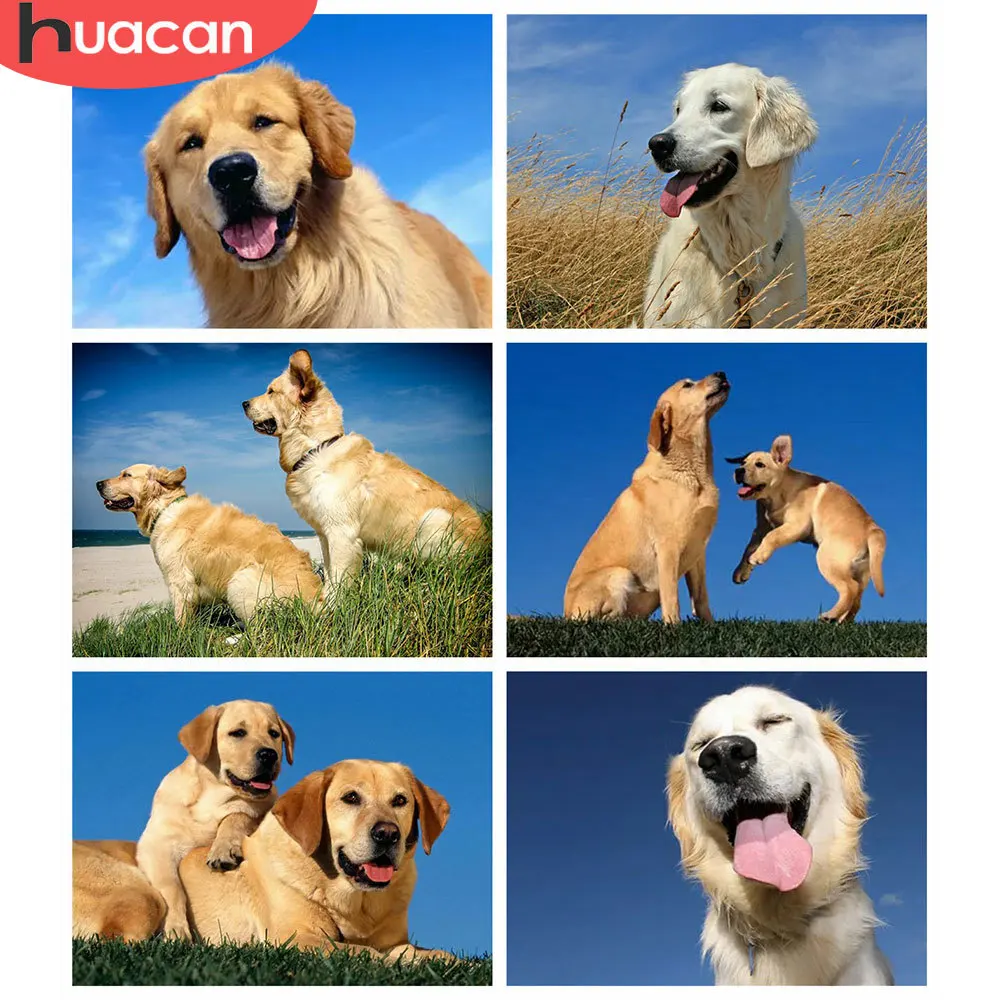 

HUACAN 5d Diamond Painting Dog Mosaic Rhinestones Pictures DIY Diamond Embroidery Animal Home Decor Craft Kit
