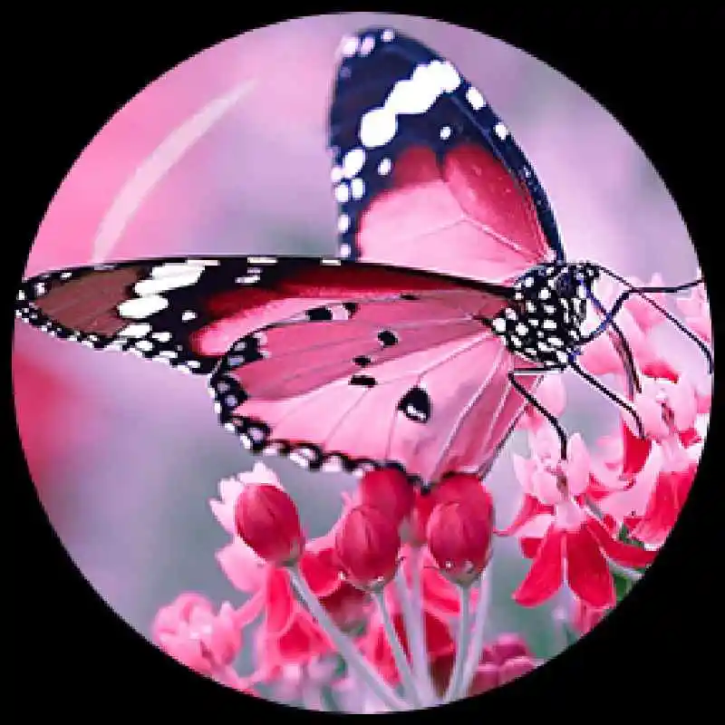 Круглые стеклянные кабошоны в виде бабочек с плоским основанием 12 мм/16 мм/18 мм/20