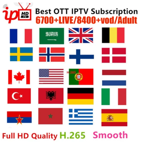 12 mouths IPTV 8000 Live IPTV подписка Европа Rocksat Франция Великобритания немецкие арабские голландские, французские Польша Португалия Смарт телевидение IPTV M3U для Android - Цвет: 12 mouths IPTV