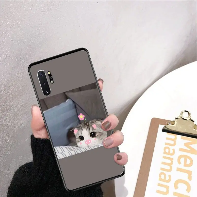 Мягкий черный чехол для телефона с милым забавным котенком Samsung Galaxy S6 S6edge Note3 4 5 note