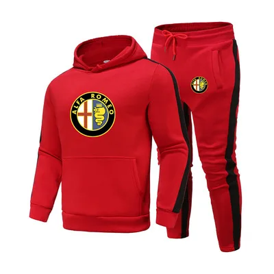 Костюм спортивный мужской демисезонный худи с логотипом Alfa Romeo модный костюм в