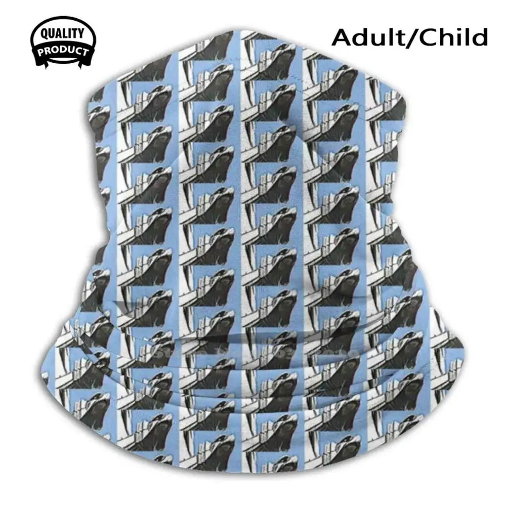 

Chrysler Eagle Pattern Dust-Proof Outdoor Warmer Mouth Mask New York Ny Nyc Usa Chrysler Building Dct66 Patterns