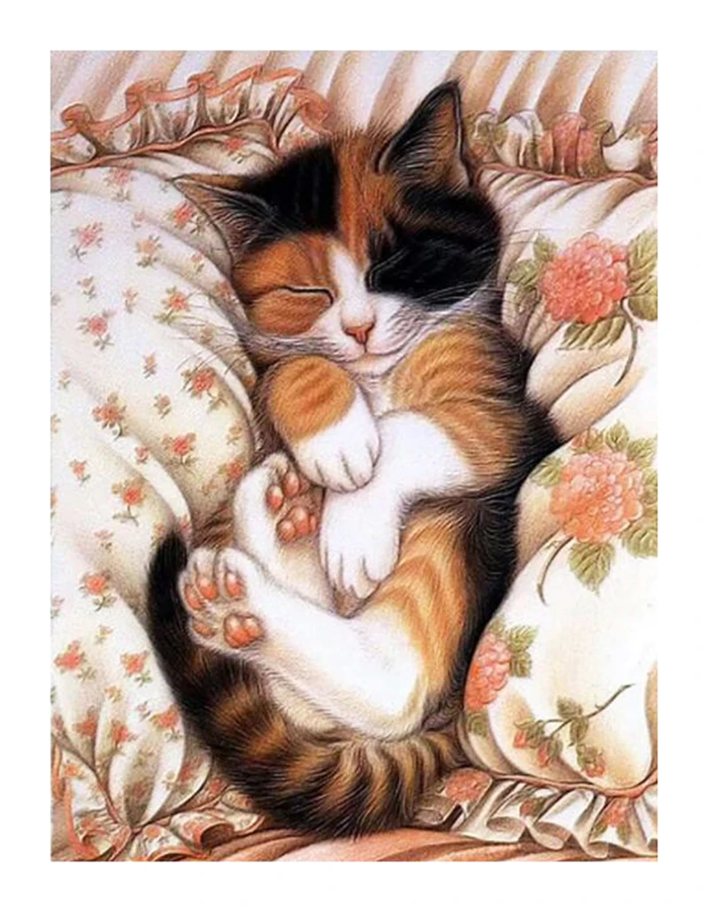 

NEW DIY 5D AB Diamond Embroidery Animal Full Square/Round Cross Stitch Cat Painting Art Craft Home Decor