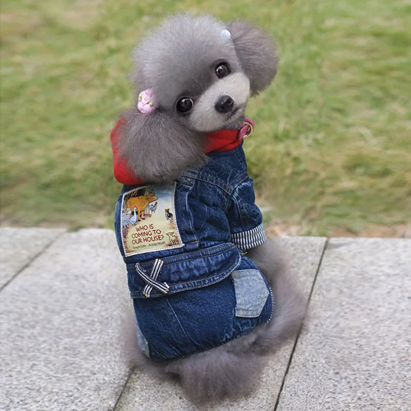 Одежда для щенков осенняя и зимняя одежда собак домашних животных Тедди бишон