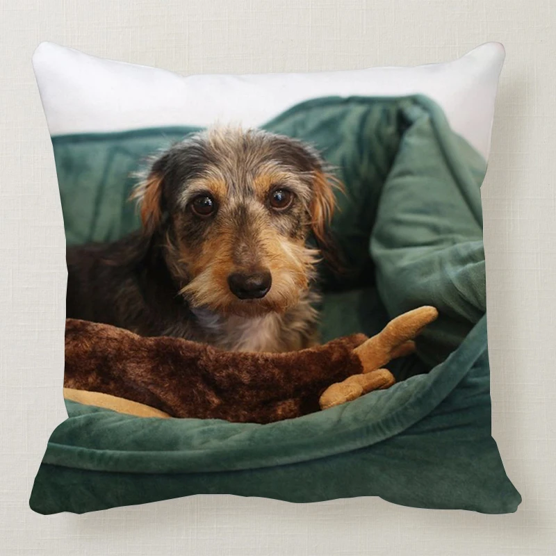1 шт. 45*45 см милая собака подушка чехол Wirehaired подушки с таксой диван кровать автомобиль подушка чехол Спальня украшение в виде таксы Подушка бухта