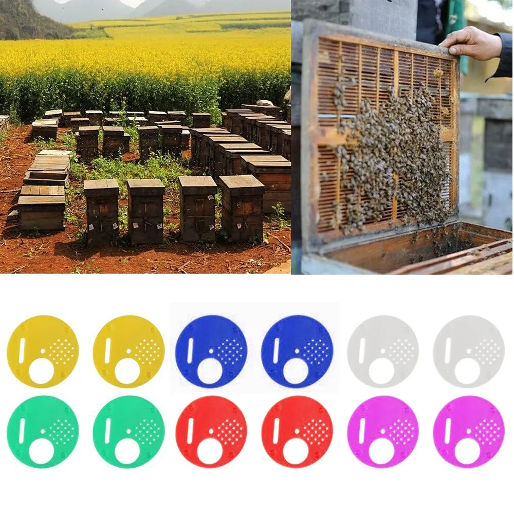12 шт круглая пчелиная улей коробка входные ворота диск пластиковые пчелиное