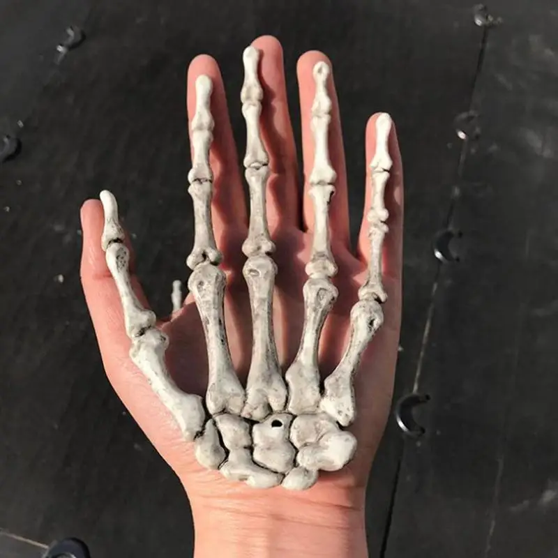 Человеческая Анатомия кости медицинская модель скелета медицинские узнать