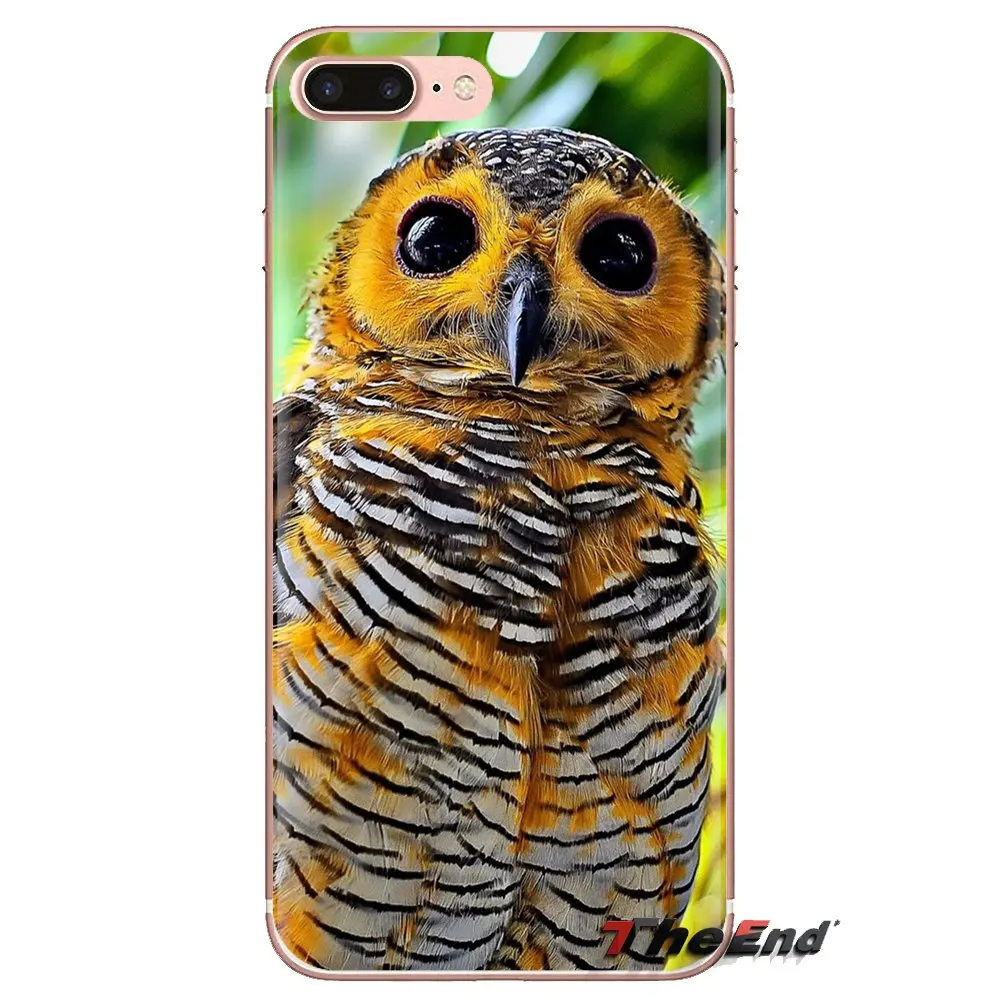 animals birds owl Trees wallpaper For Huawei Mate Honor 4C 5C 5X 6X 7 7A 7C 8 9 10 8C 8X 20 Lite Pro TPU Transparent Shell Cases |