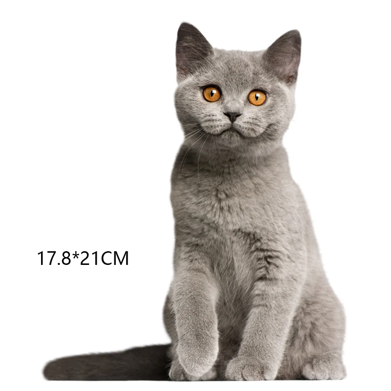 Три Ratels серого цвета с британским и короткошерстной кошки Кошка наклейки на