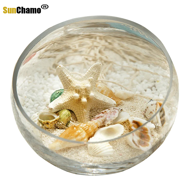 

Nordic Mediterranean Coral Shell Vase Creative Ornament Bowl Lotus Duckweed Oblique Transparent Water Glass Vase Home Decoration