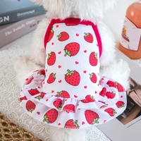 new cute pet clothes cute fruit pattern dress t shirts lovers suit small medium cat dog clothes pet supplies dog skirts poodle