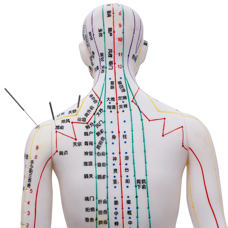 

100pcs Agujas Acupuntura Acupuncture Needles With Guide Acupuntura Pointer Chinese Disposable Sterile