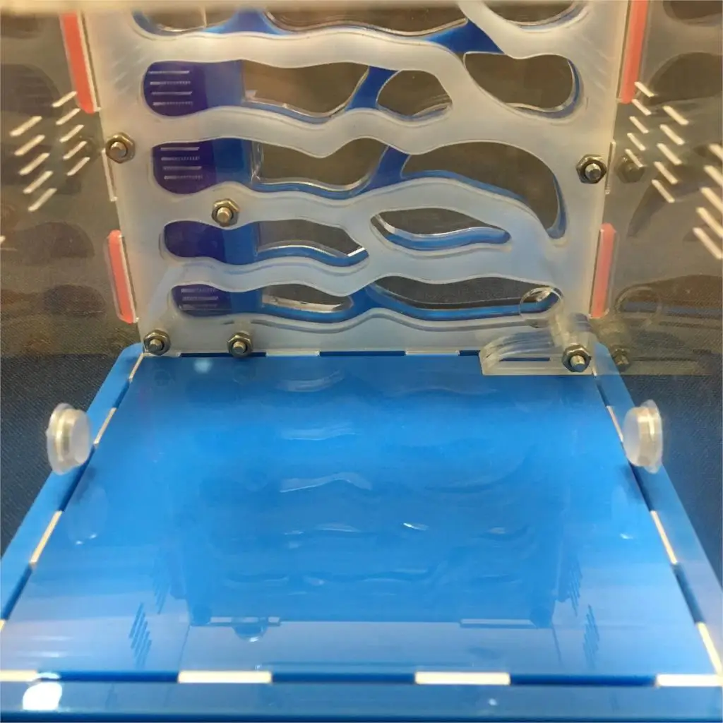 

9colorDIY moisture with feeding area ant nest ,ant farm acrylic,insect ant nests villa new pet advanced mania for house ants