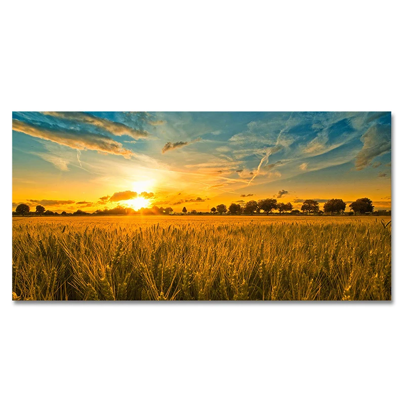 

Sunset of Cornfield Landscape Canvas Painting Wheat Field Posters and Prints Cuadros Wall Art Pictures for Living Room Decor