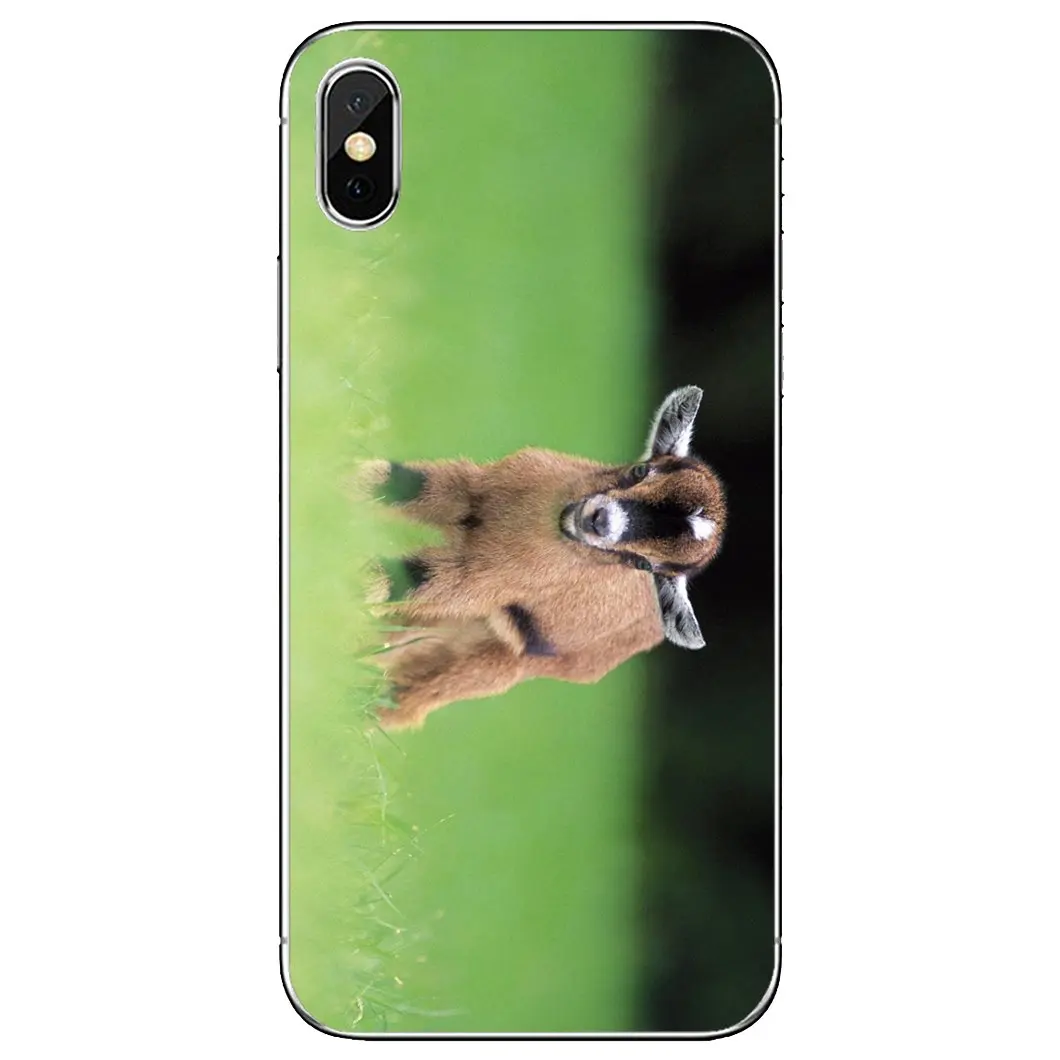 Силиконовый чехол для Xiaomi Redmi 2 S2 3 3S 4 4A 5 5A 6 6A 7A 9 9T 9C 9A Pro Pocophone F1 The-Cutest-Baby-Pygmy-Коза-обои