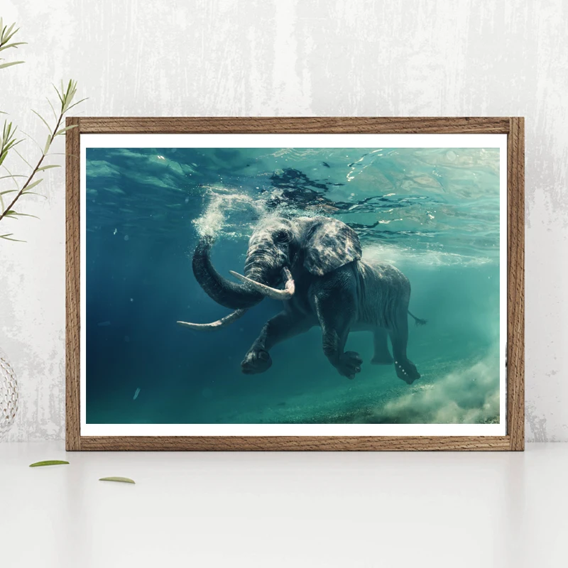 Плавательный слон животные обои Холст Плакаты печать настенная живопись