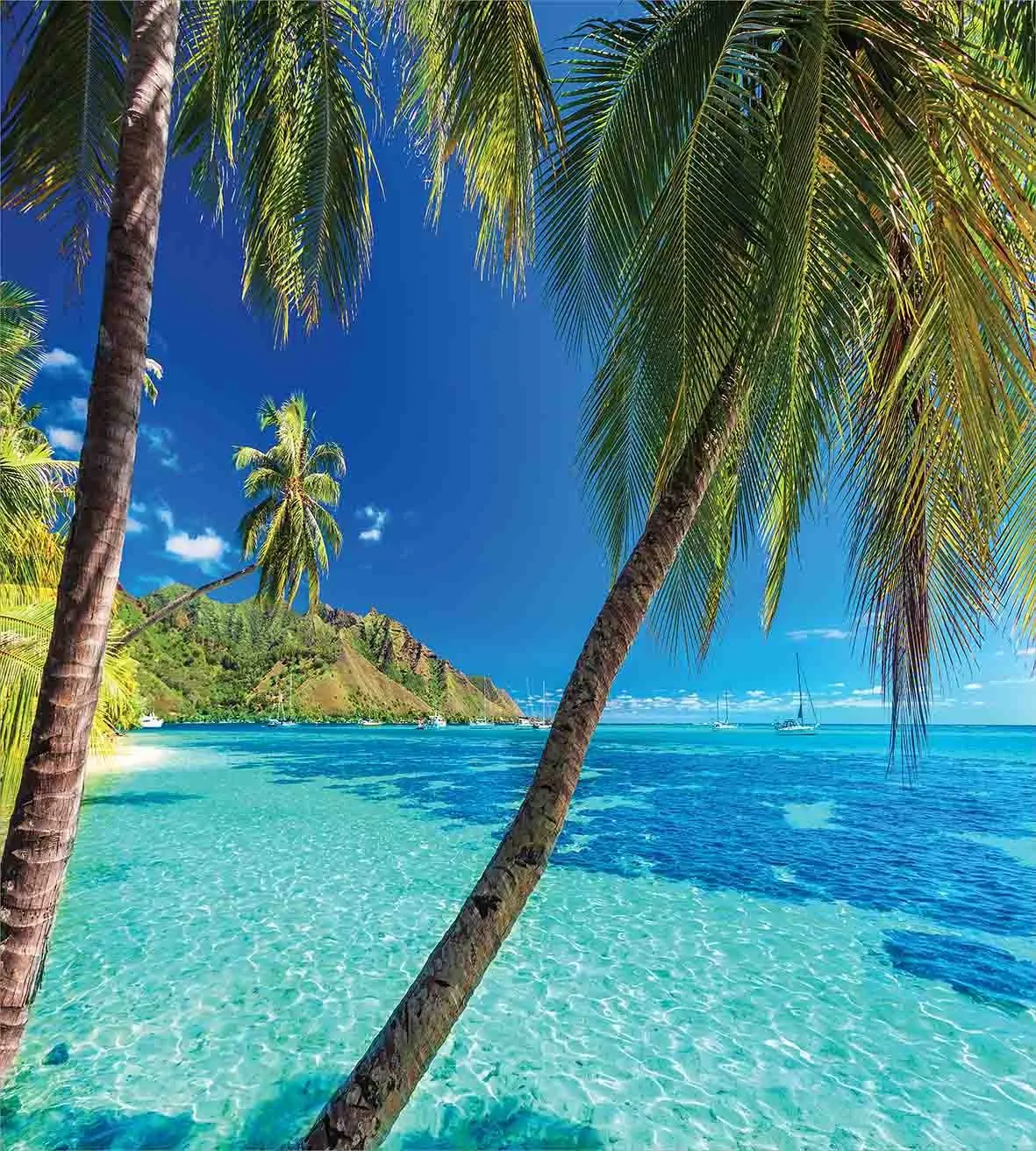 Набор пододеяльников с изображением тропического острова пальмами и прозрачным