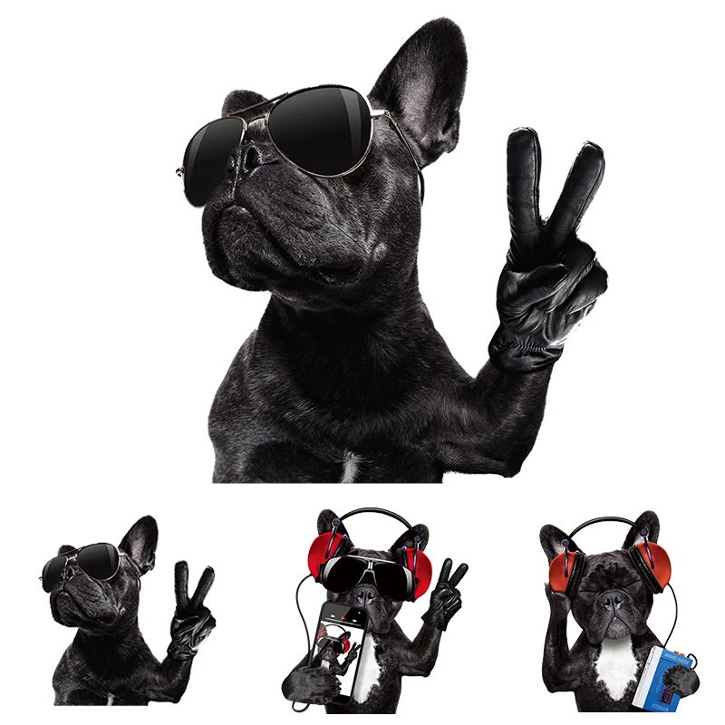 Нашивка для одежды с изображением крутых собак простая в использовании моющаяся