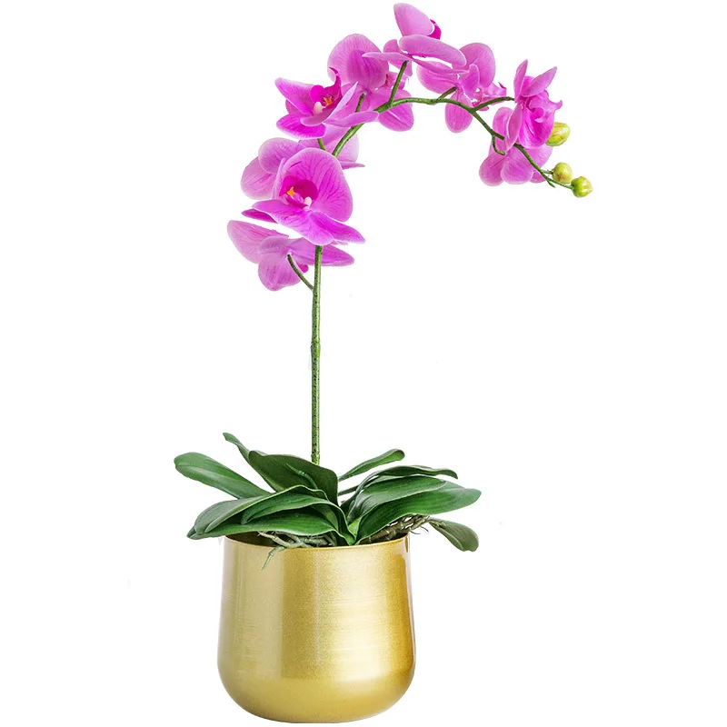 

Golden Wrought Iron Creative Flower Pot Nordic Style Metal Succulent Plants Courtyard Garden Flower Decoration