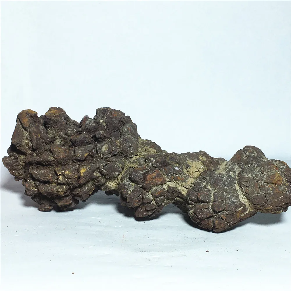 

natural Dinosaur fossil dung crystal specimen Home furnishing decoration stone Reiki healing raw gemstone