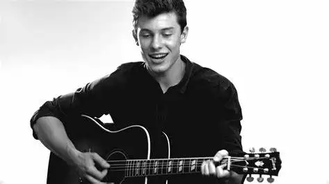 Shawn Mendes Silk Poster Wall Decor Room Painting 24X3Inch |